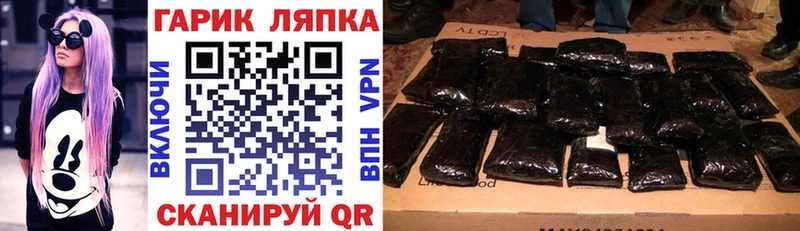 ГАШ Premium  Ершов 